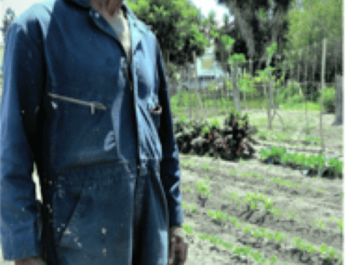 Long-time urban gardener grounded in his soil and place