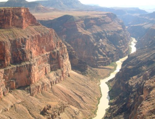 Grand Canyon turns 100 this year